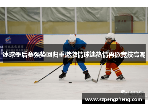 冰球季后赛强势回归重燃激情球迷热情再掀竞技高潮
