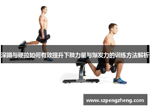 深蹲与硬拉如何有效提升下肢力量与爆发力的训练方法解析