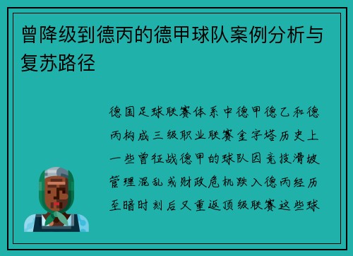曾降级到德丙的德甲球队案例分析与复苏路径