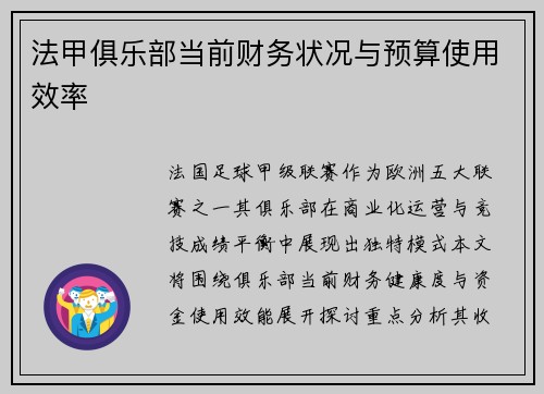 法甲俱乐部当前财务状况与预算使用效率